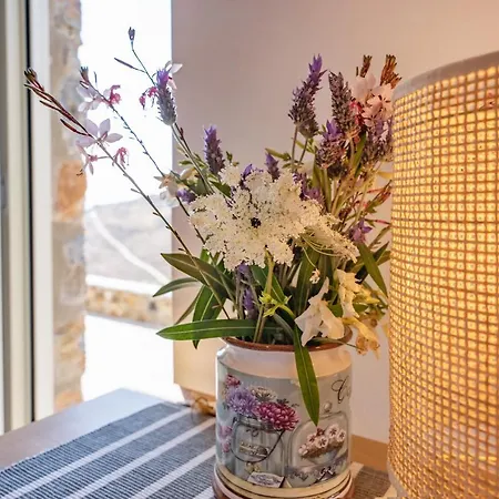Little North Appartement *